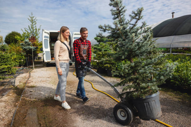 Lawn Watering Services in Pasadena, CA